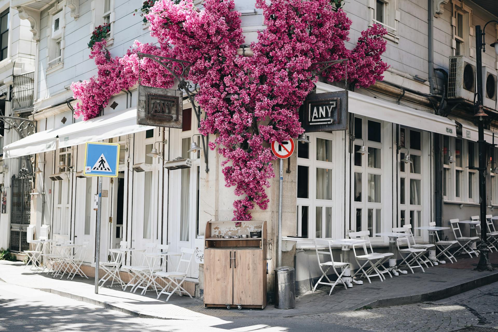 Pink Flowers of a Plant Growing Outside of a Cafe Building in Arnavutkoy, Istanbul, Turkey