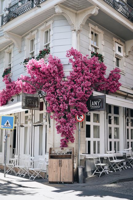 Elegant street corner bistro adorned with bright pink bougainvillea in an urban setting.