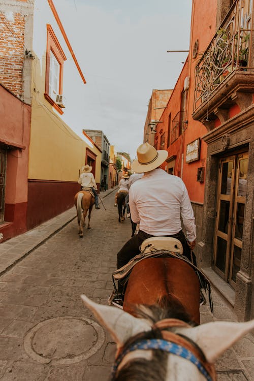 Δωρεάν στοκ φωτογραφιών με calido, mexicana, άλογο