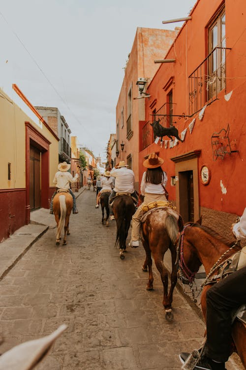 Kostenloses Stock Foto zu calido, kultur, mexikanische straßen