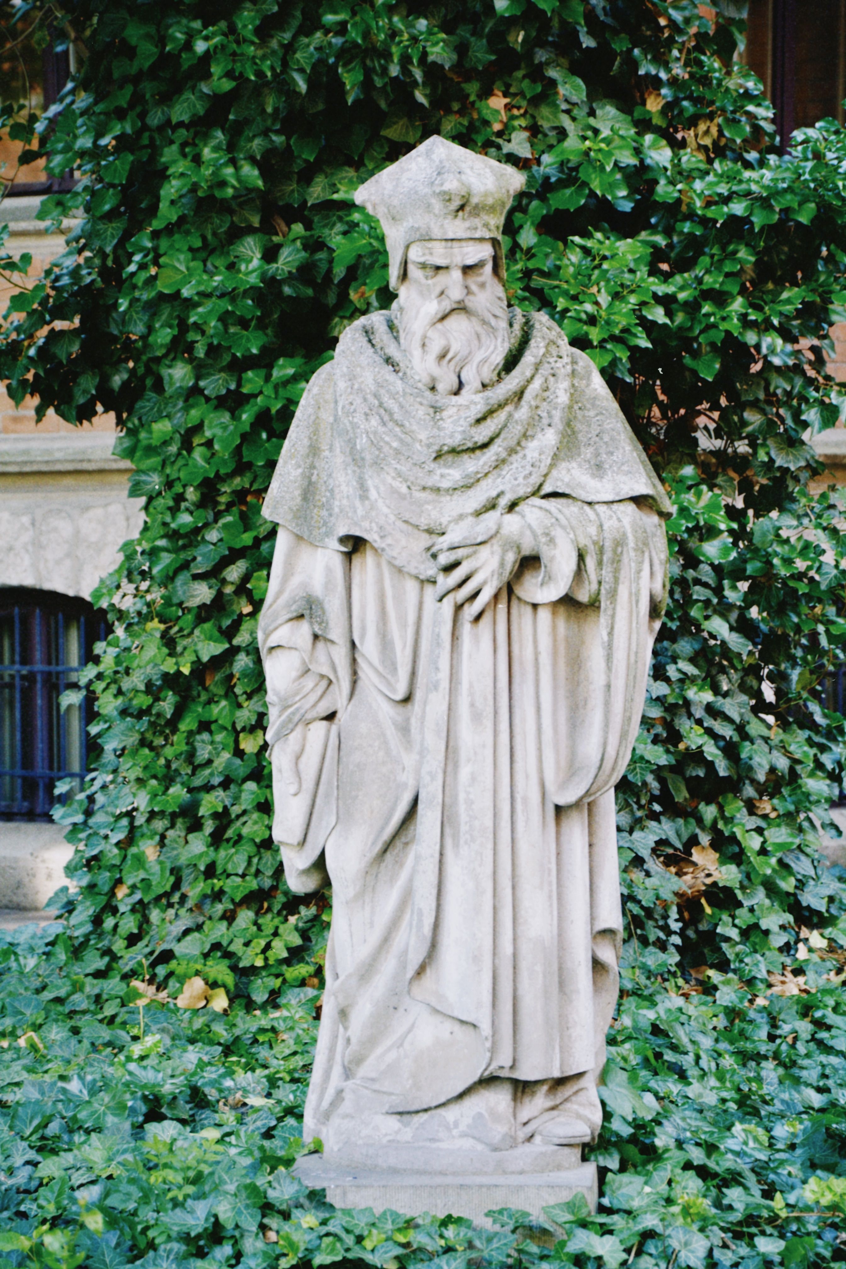 A stone statue surrounded by lush ivy in Kraków, Poland, at Jagiellonian University.