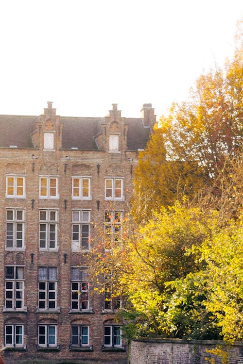 Gratis stockfoto met architectuur, België, boom