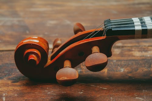 Free stock photo of acoustic, blur photo, bowed instrument