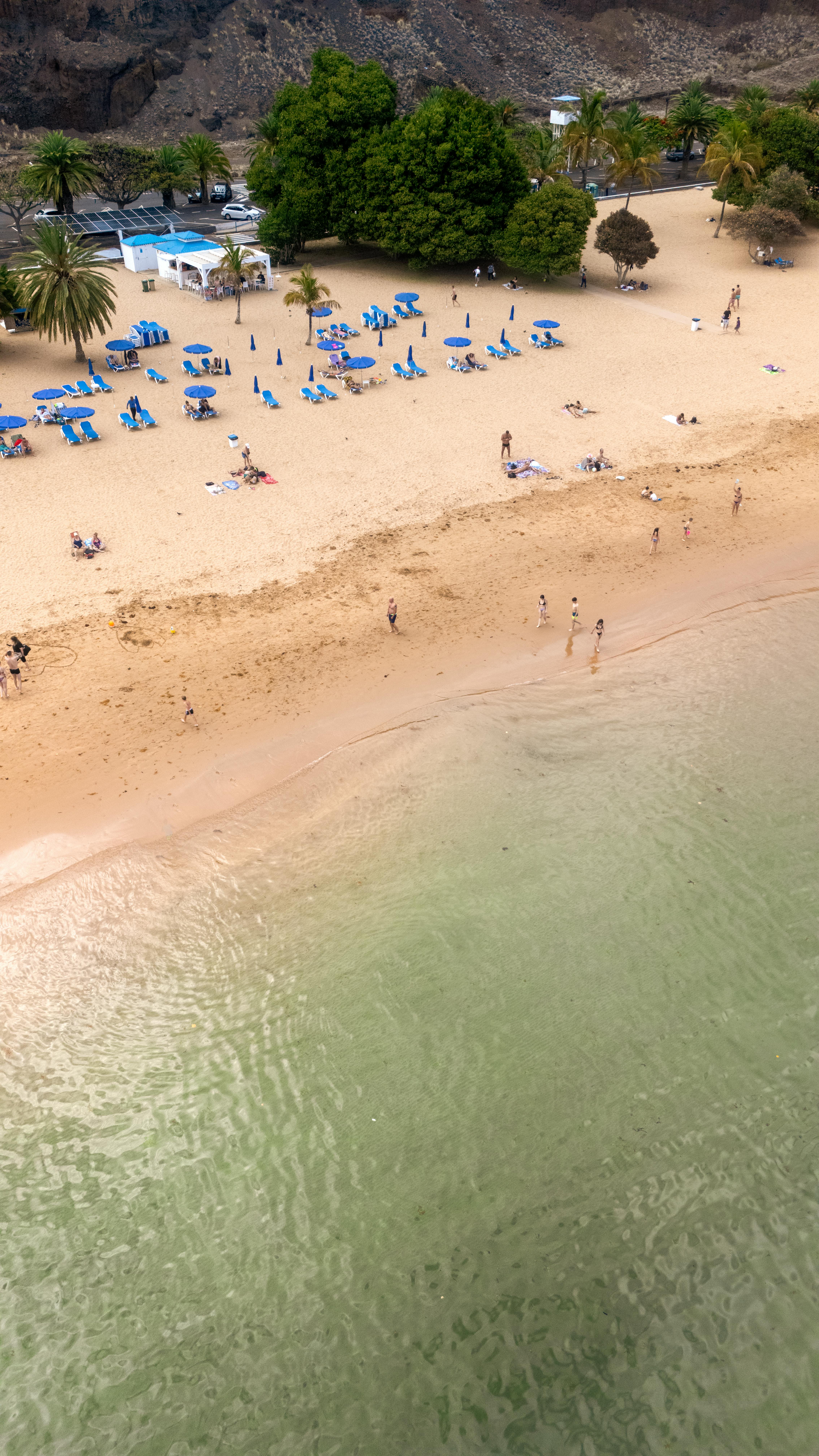 top view of beach with people and sunbeds