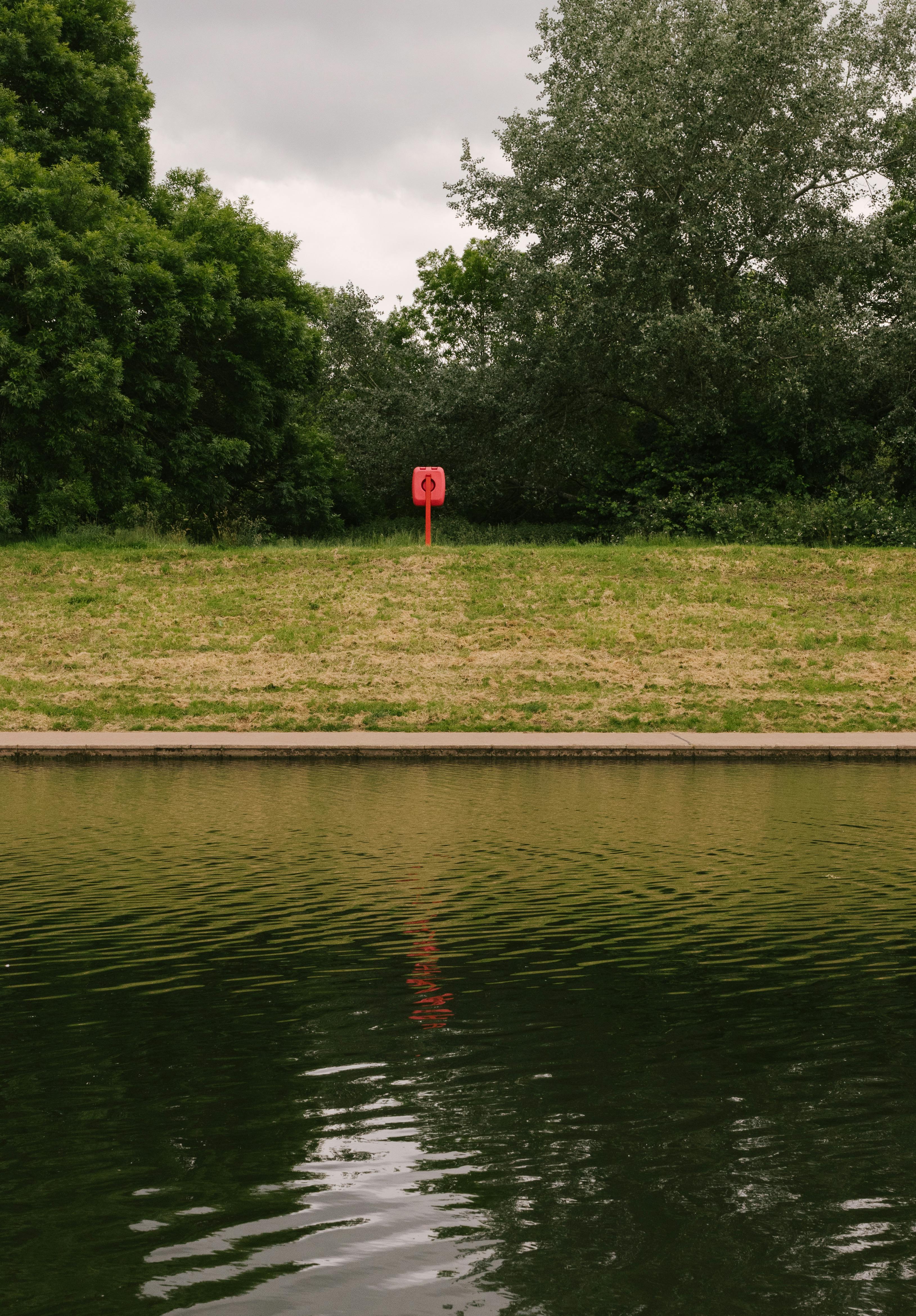 Serene park view with a reflection of greenery and a lifebuoy in a pond.