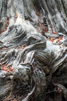 Close-up of weathered tree bark revealing intricate textures and earthy tones, showcasing natural patterns.