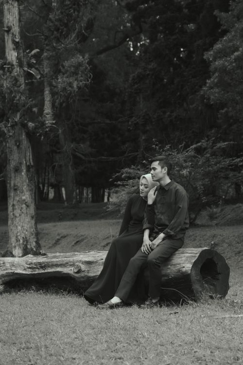 Free Black and white photo of a couple sitting on a log in an Indonesian forest. Stock Photo
