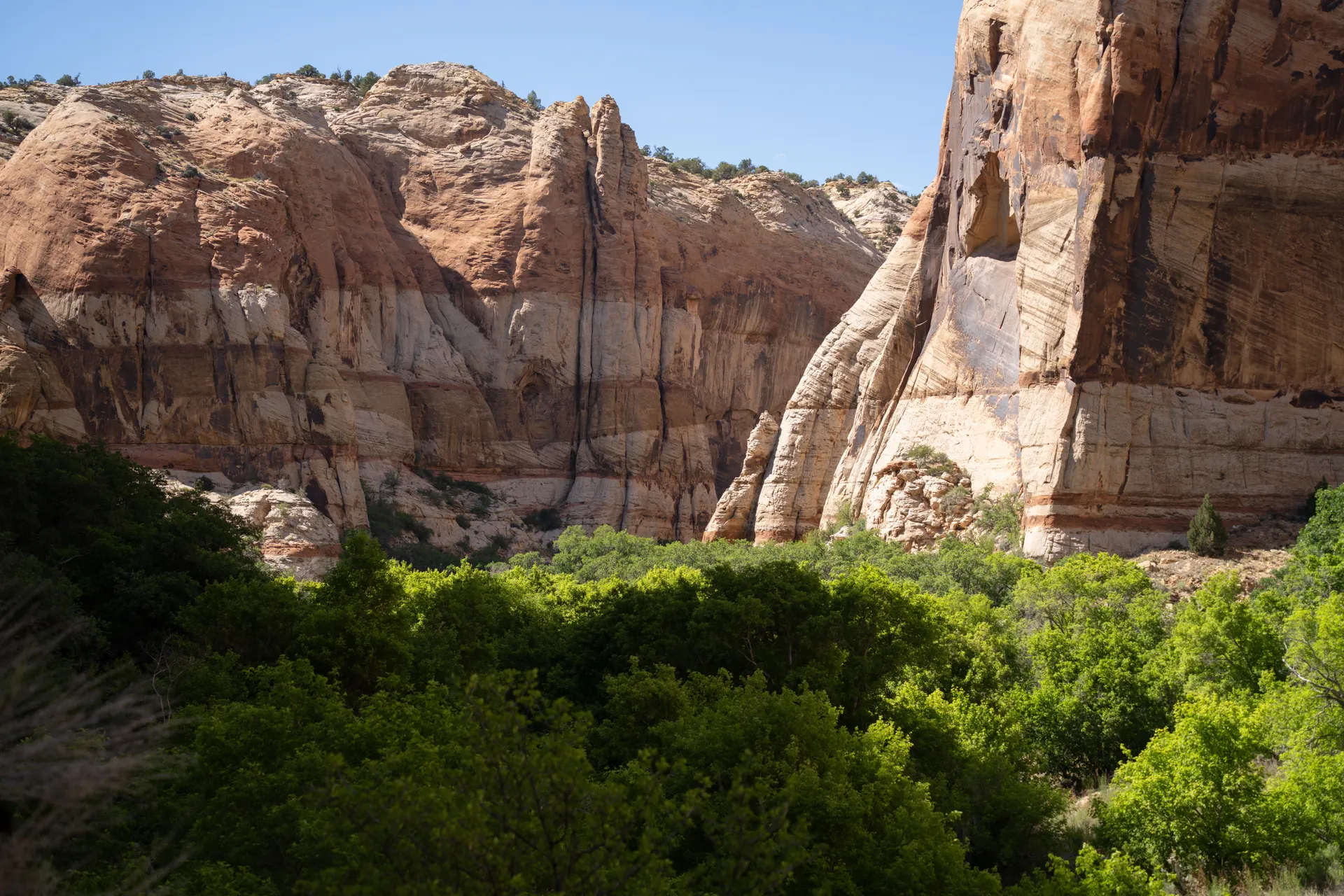 View of Calf Creek Canyon's sandstone cliffs and lush greenery in Escalante, Utah. View of Calf Creek Canyon's sandstone cliffs and lush greenery in Escalante, Utah.