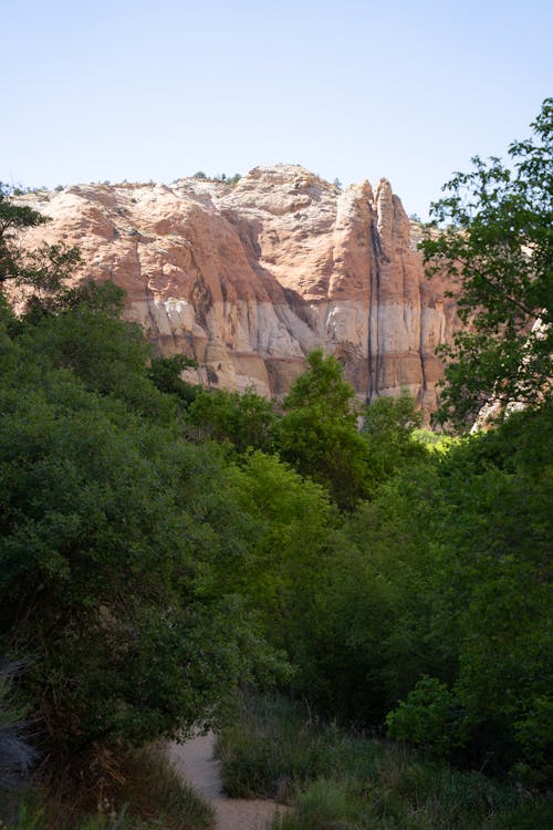 Gratis stockfoto met amerika, avontuur, backpacken