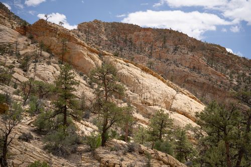 Free Captivating view of rugged cliffs and pine trees in Escalante, Utah, under a clear sky. Stock Photo