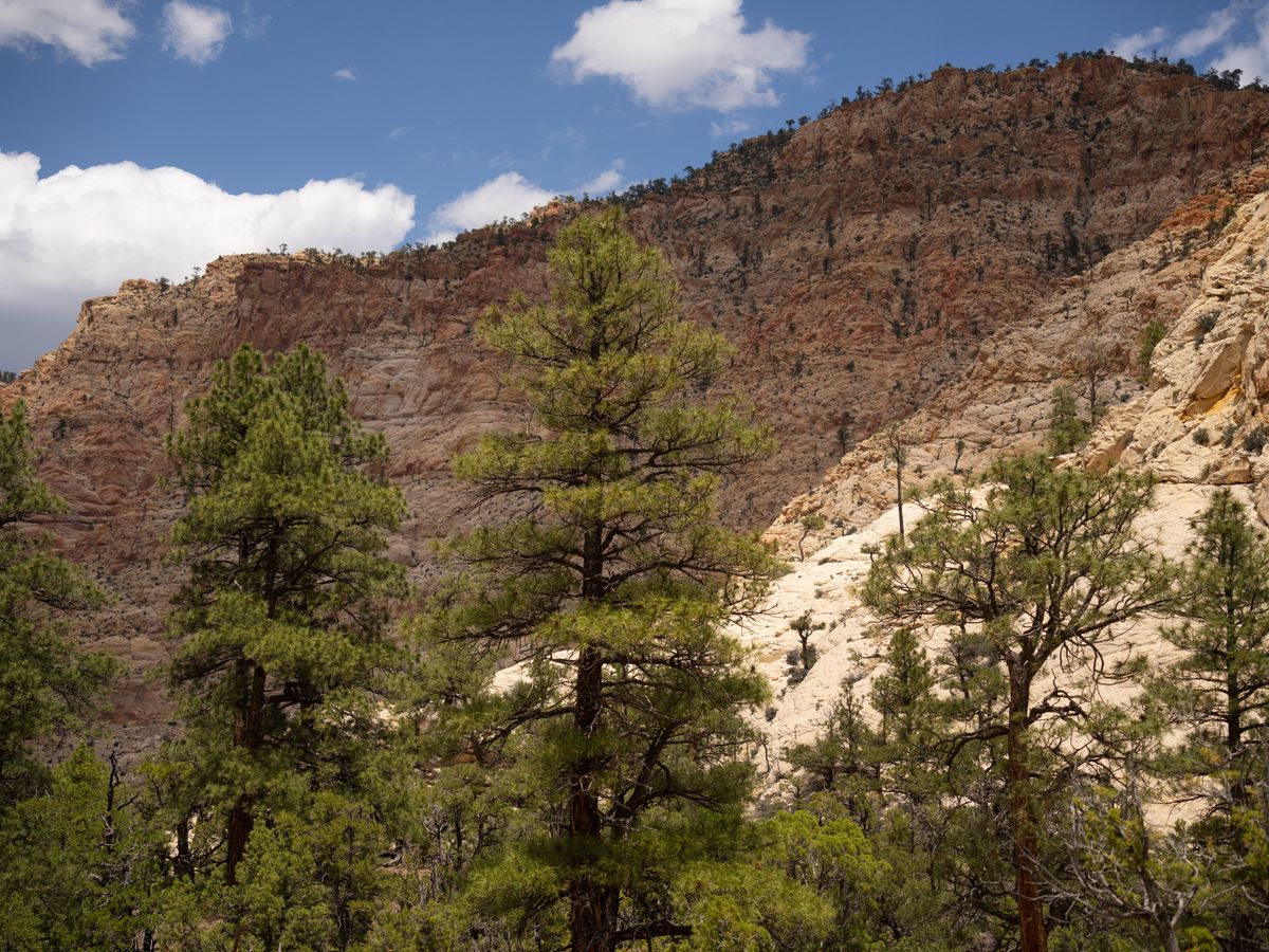 4 Day Personalize Your Own Private Retreat in Zion, Southern Utah 3