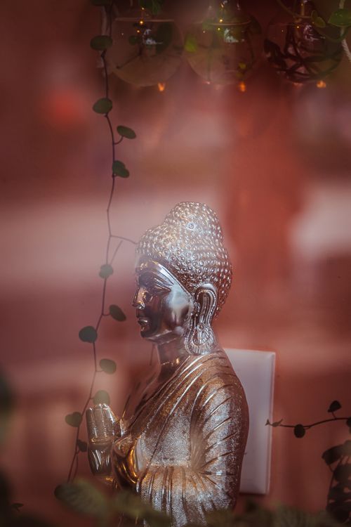 Free Elegant golden Buddha statue surrounded by vines, symbolizing peace and spirituality indoors. Stock Photo
