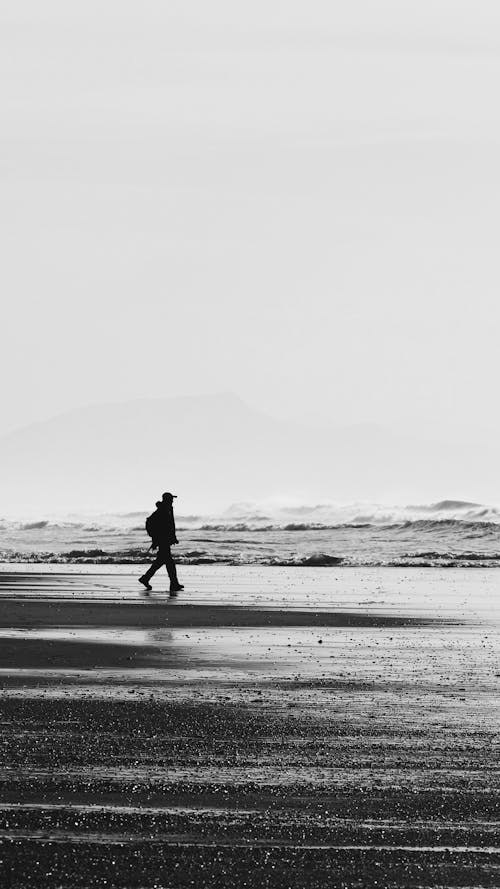 A person walking on the beach with a dog