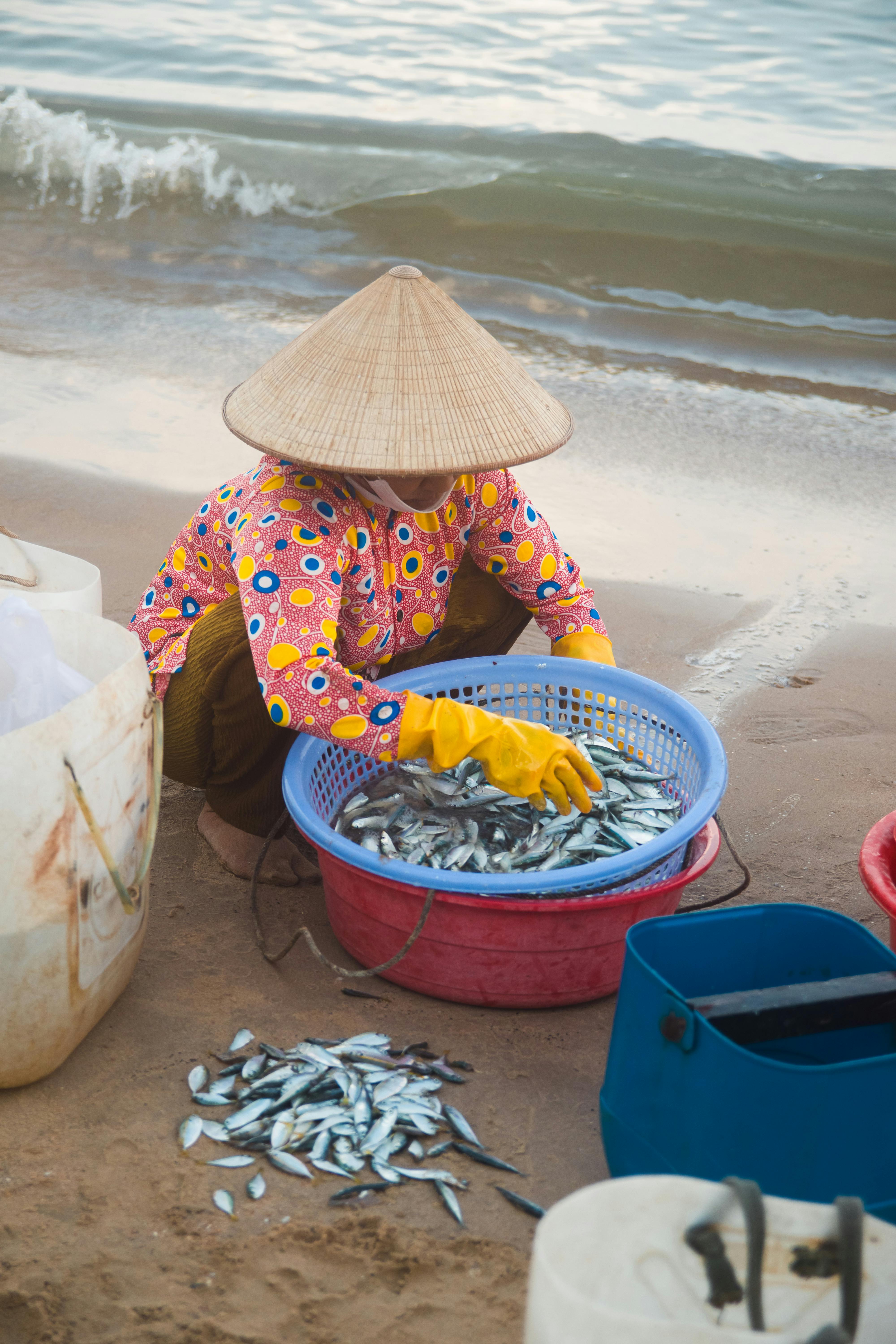 Fisher working on Vũng Tàu beach, sorting fresh fish in a traditional conical hat.