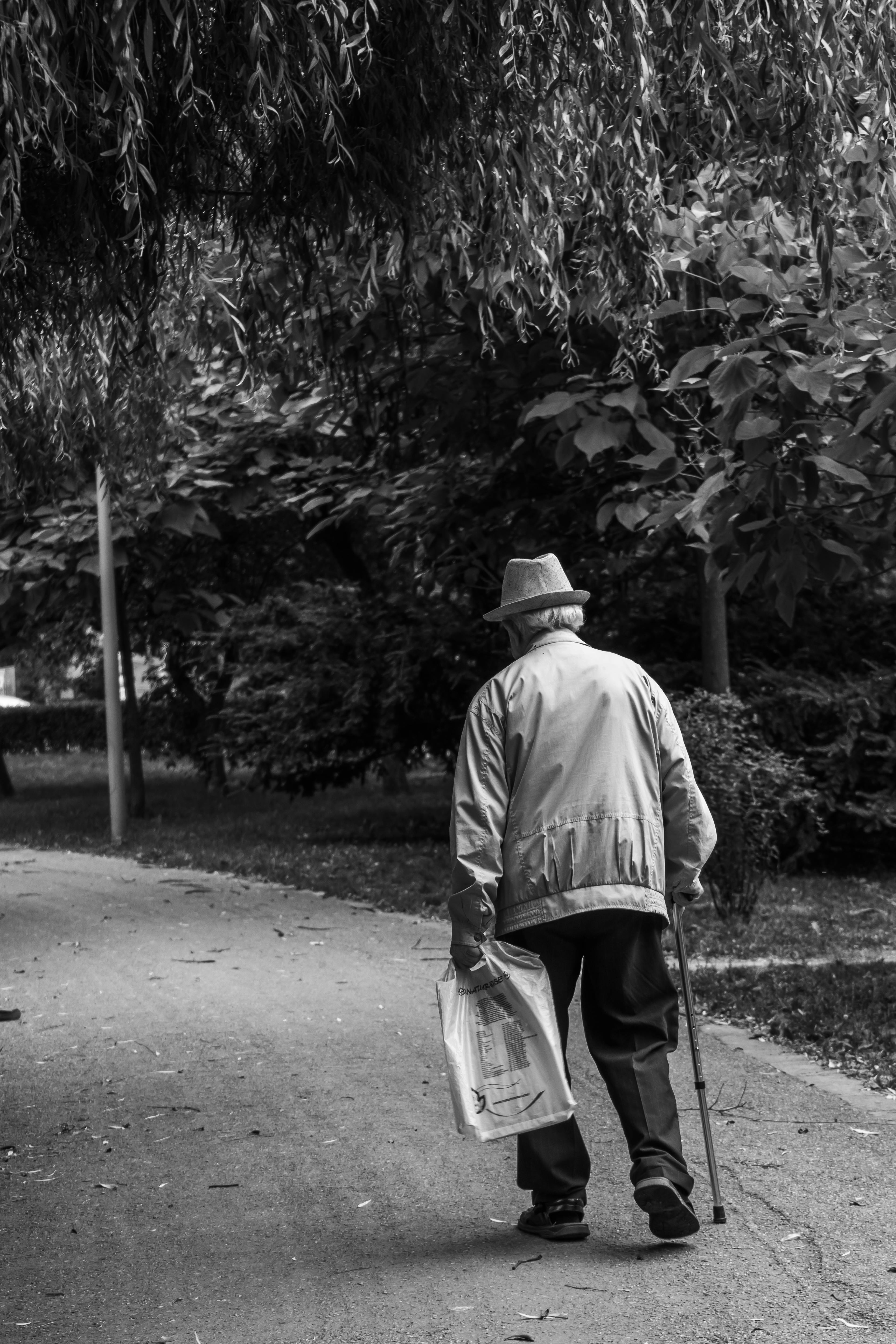 老年父子散步高清图片下载-正版图片501270092-摄图网