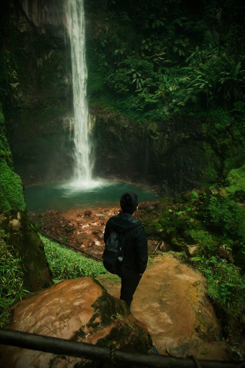 Бесплатное стоковое фото с водопад, джунгли, зеленый