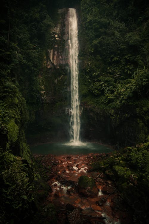 Kostnadsfri bild av bassäng, djungel, falls