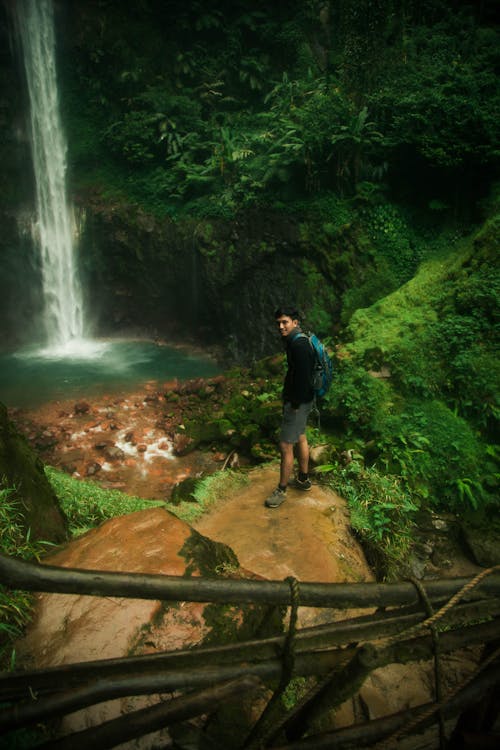 녹색, 모험, 물의 무료 스톡 사진