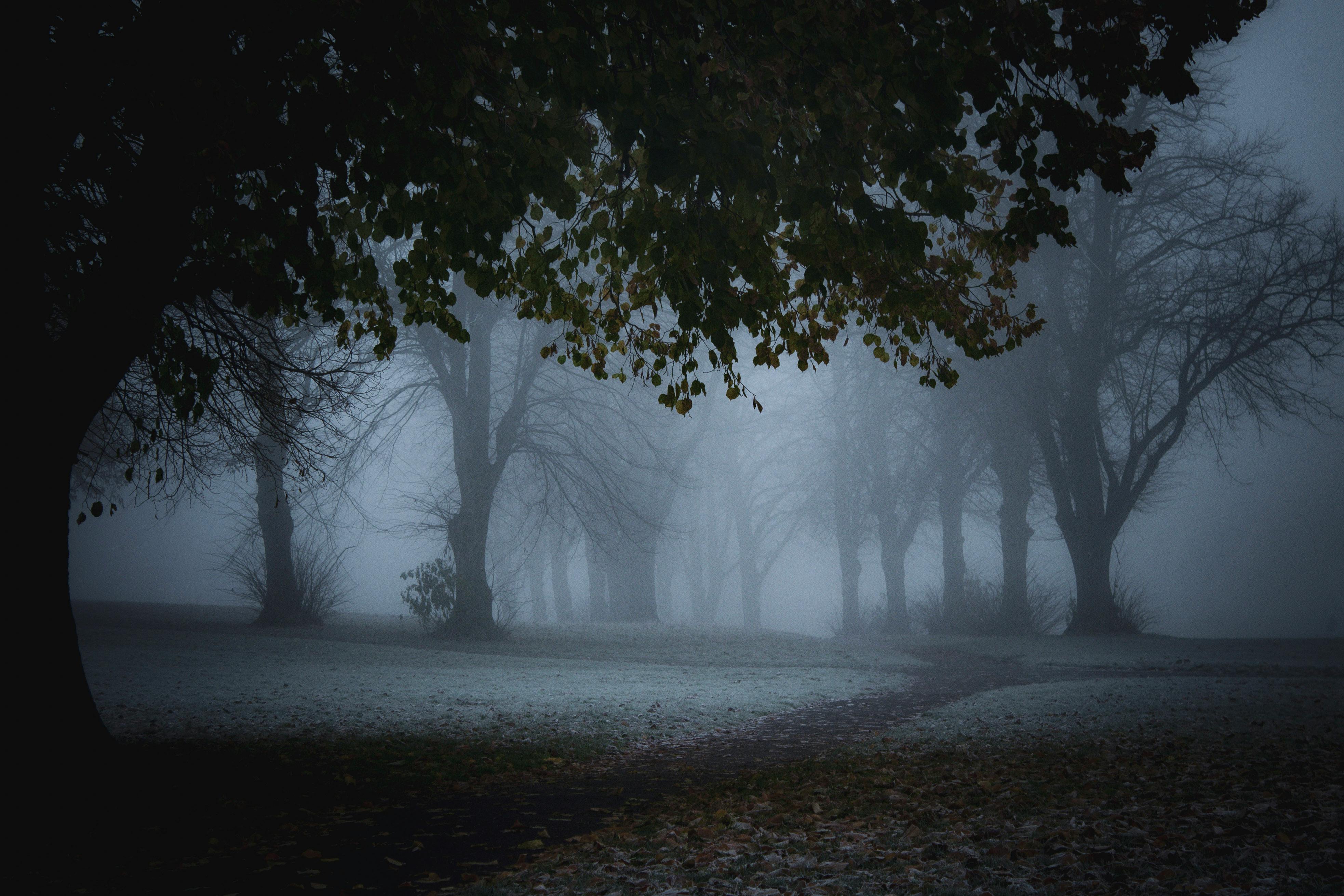 Uncover the Top 7 Enchanting Spots in Abbots Leigh, Bristol You Won't Want to Miss