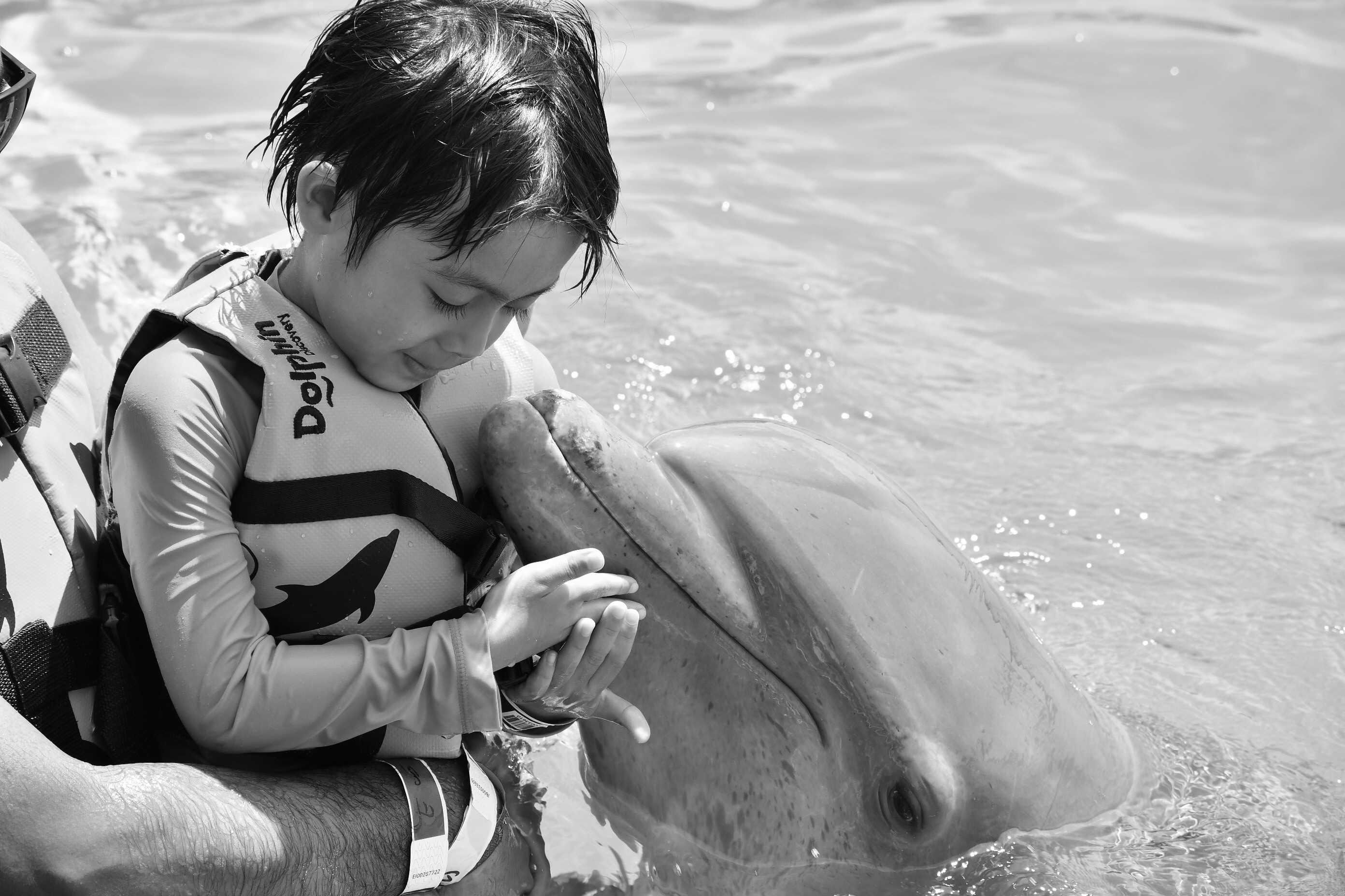 A child wearing a life jacket gently touches a dolphin in an outdoor aquatic setting.