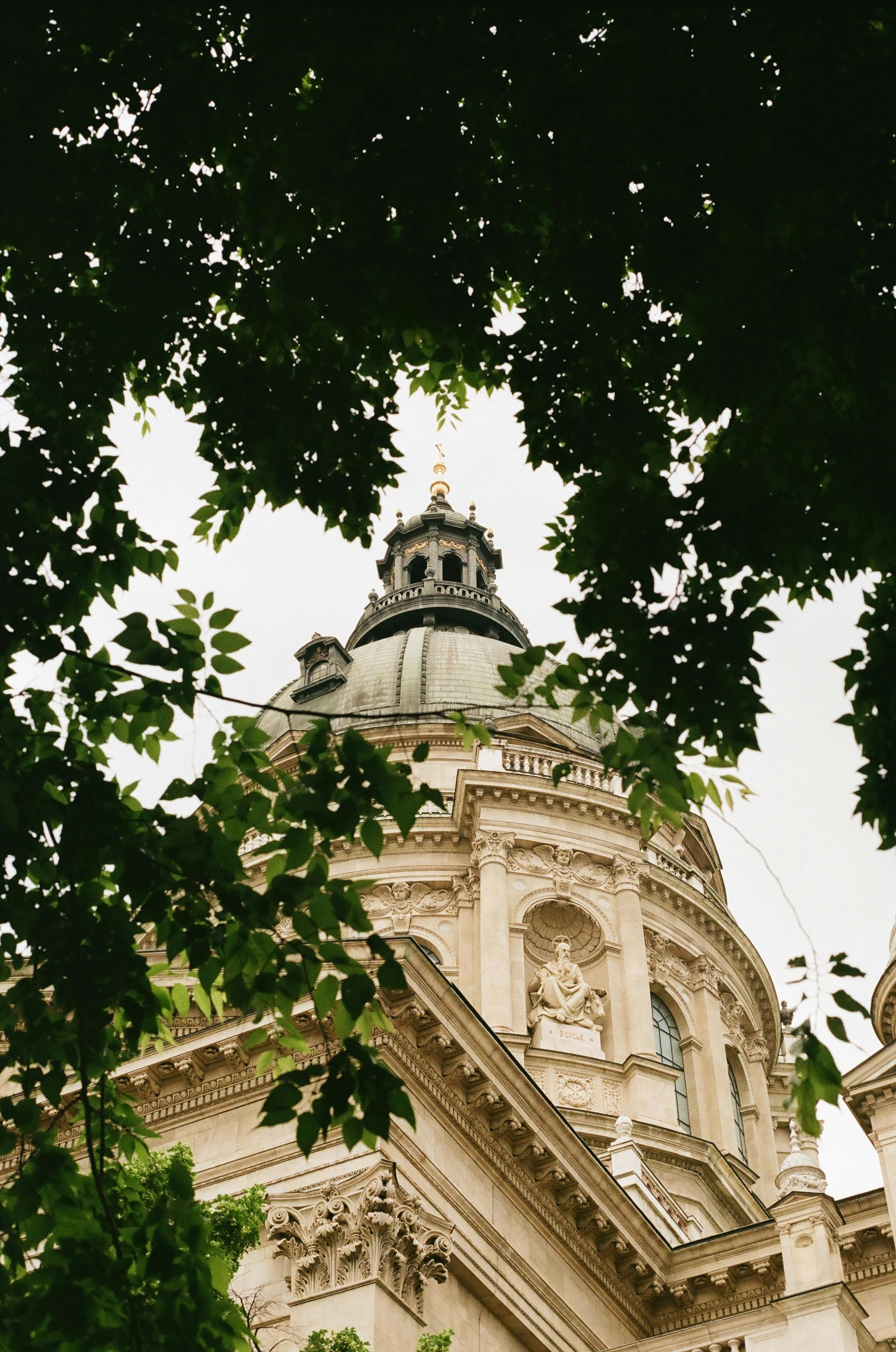 Stunning view of St Stephen's Basilica dome in Budapest framed by verdant trees.