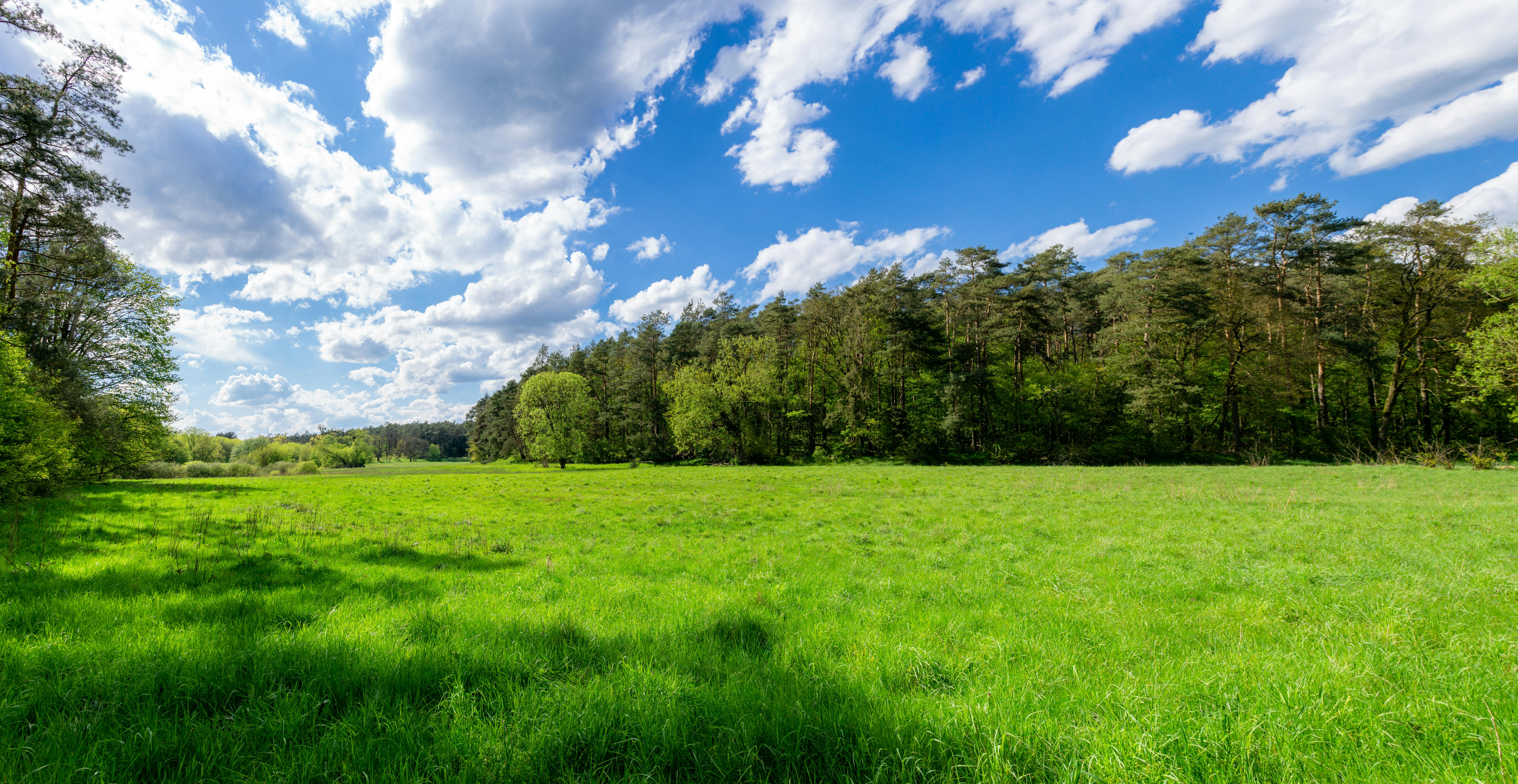 Federal reclassification benefits Vermont medical cannabis program — Photo by János Csatlós on Pexels