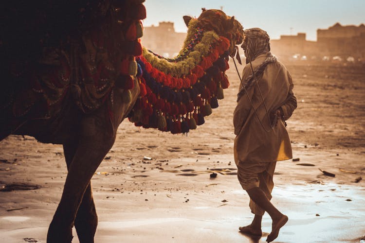 Man Near Camel