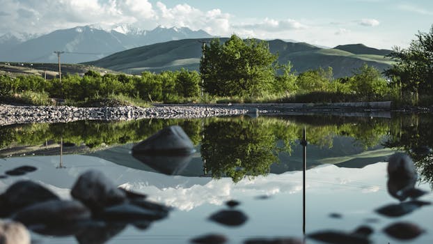 湖面宁静的景色映衬着郁郁葱葱的绿树和远处的山脉