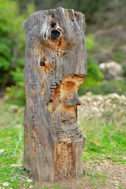 A wooden sculpture of a face with a hole in it