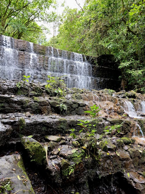 A waterfall in the jungle with rocks and trees
