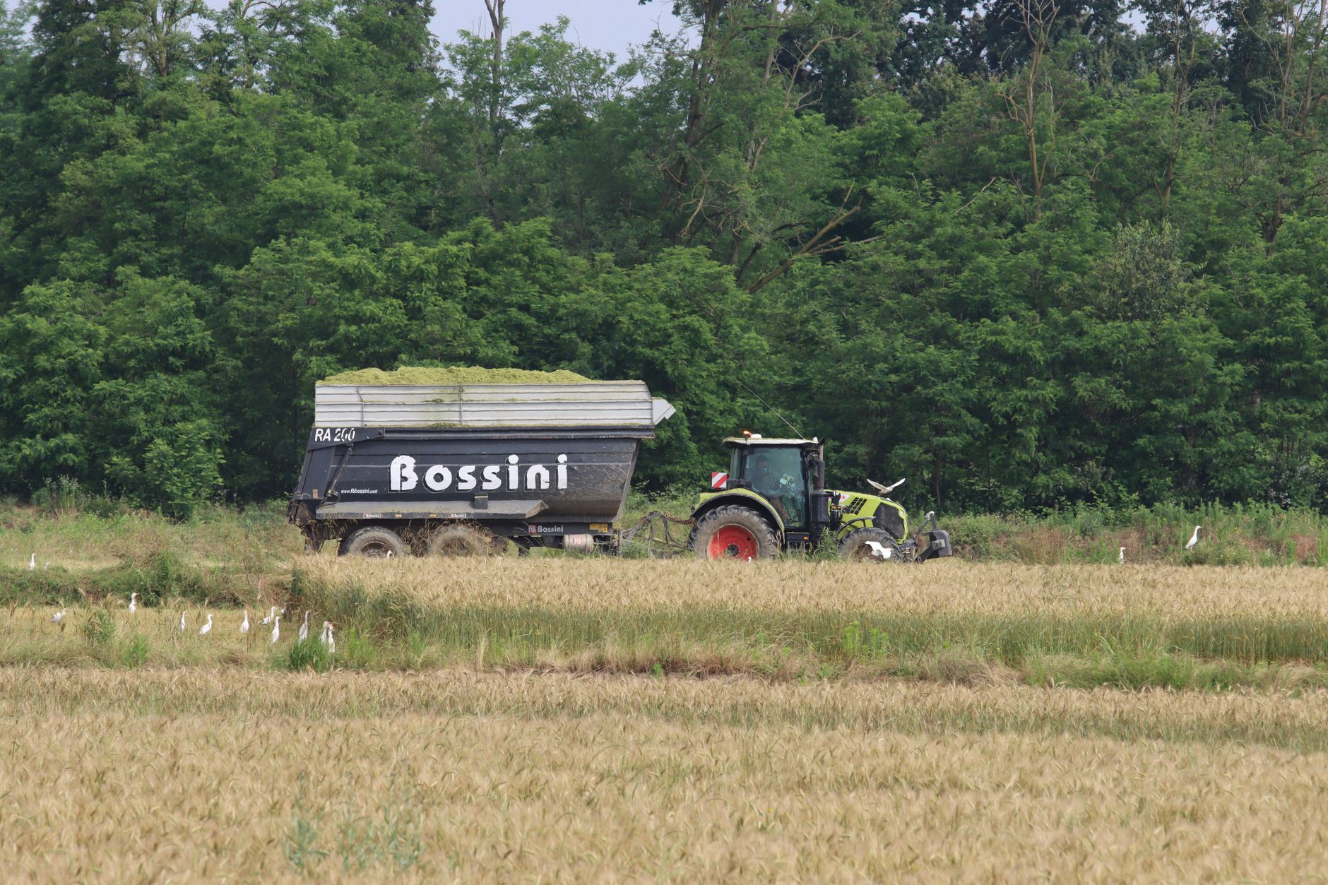 Utilaj agricol furat din Italia, găsit în Nimigea