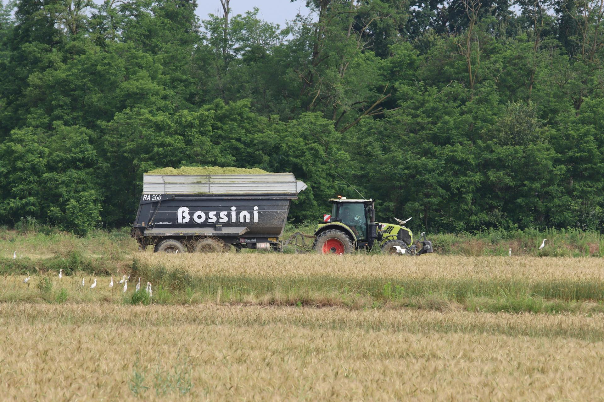 A Tractor with a Full Trailer Driving on a Cropland