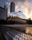 Low-Angle Photo of The Bean