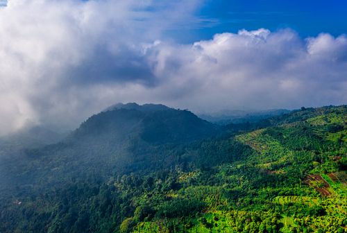 Free A breathtaking aerial view of lush green mountains in Banten, Indonesia under a cloudy sky. Stock Photo