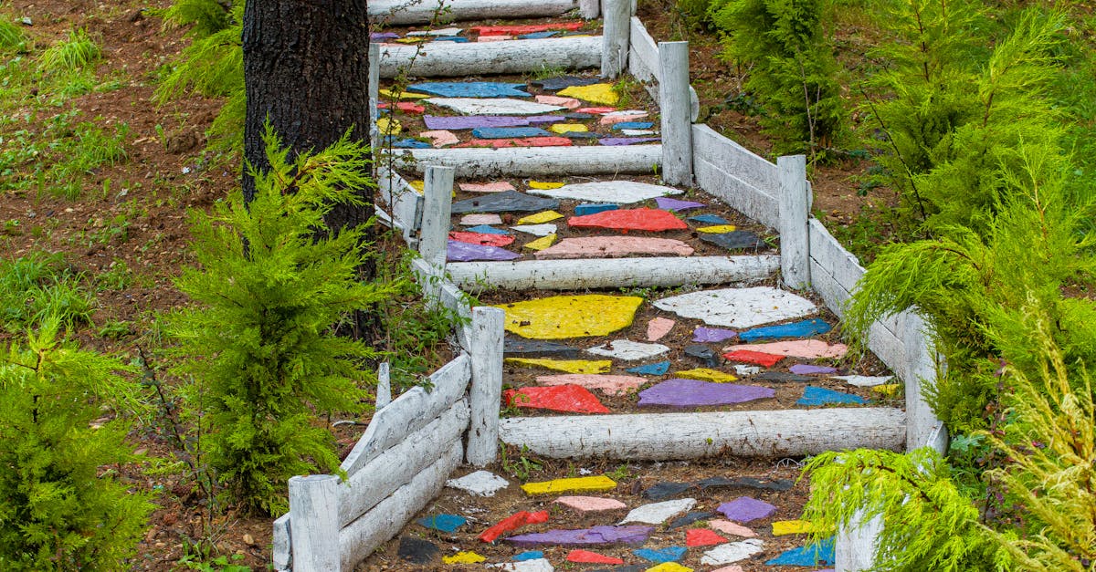 Colorful Path in a Park · Free Stock Photo