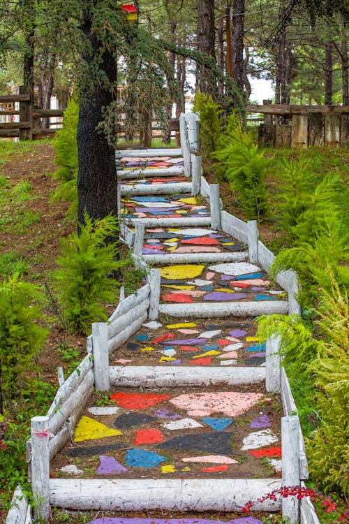 Colorful Path in a Park · Free Stock Photo