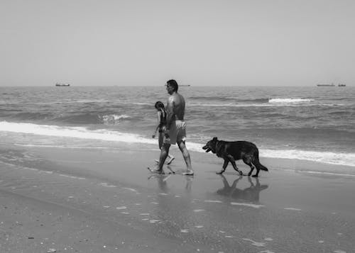 A man and his dog walking on the beach