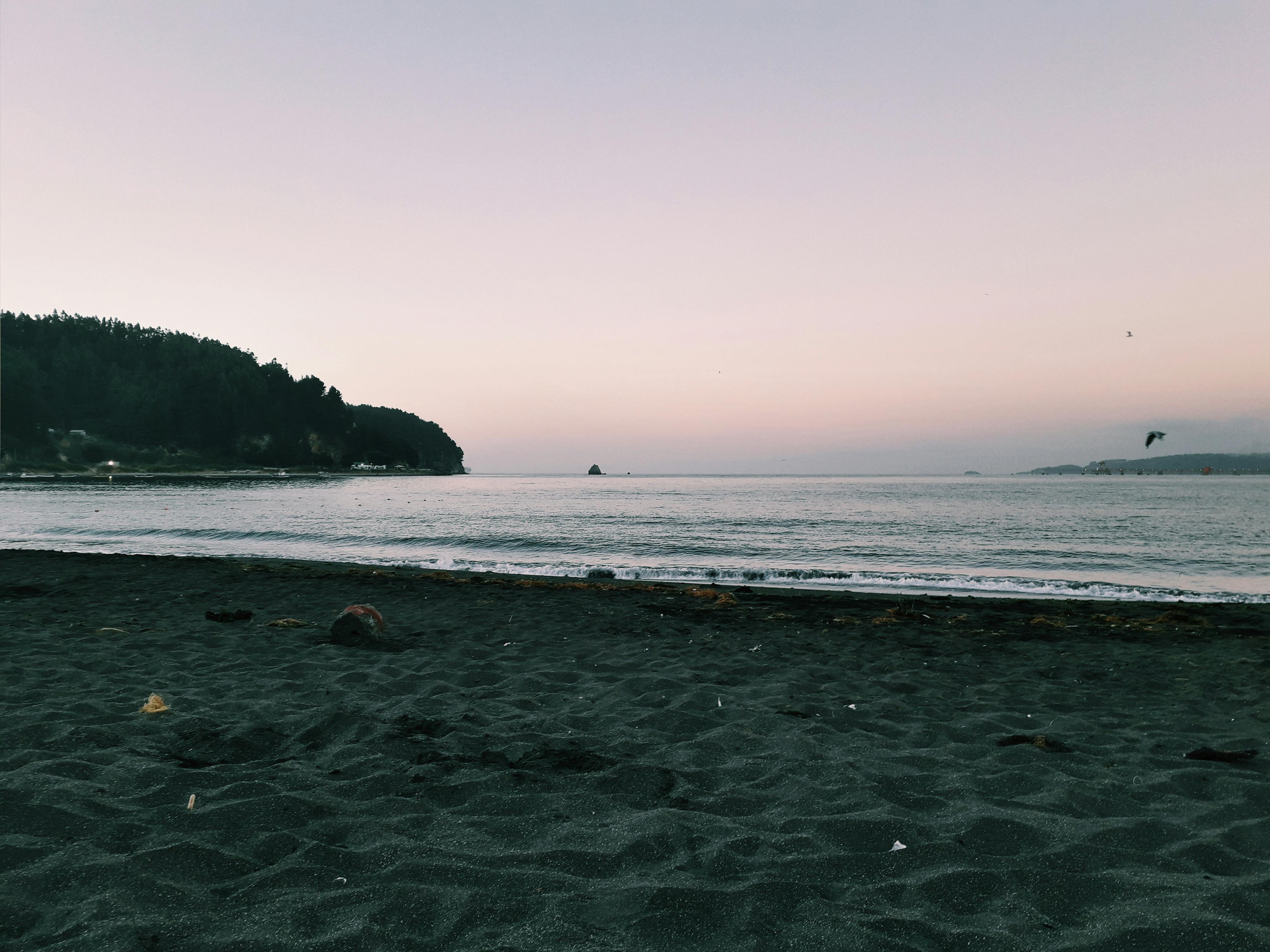 photo of seaside during dawn