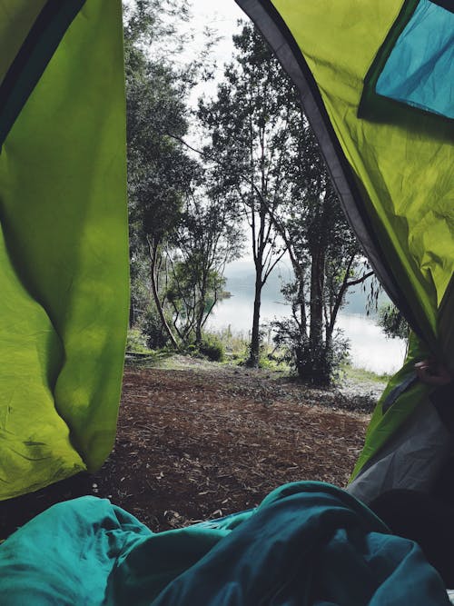 Green Tent Near Trees