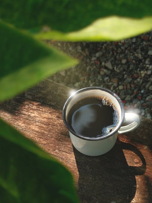 Free stock photo of black coffee, caffeine, coffee Stock Photo