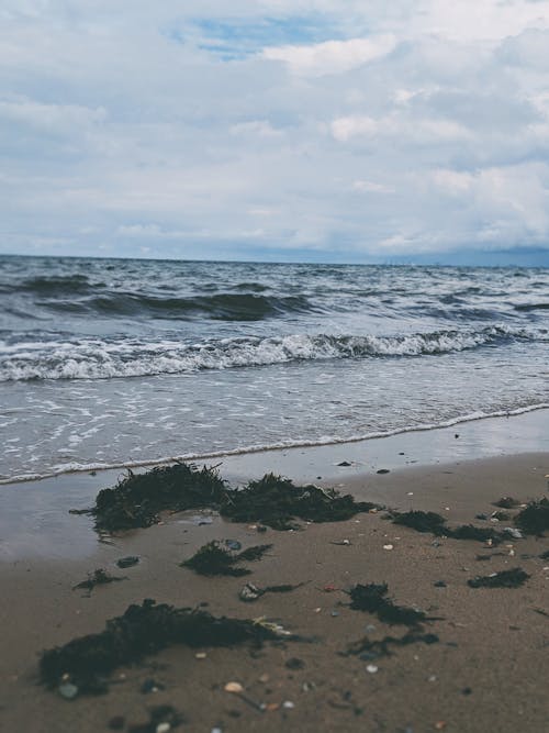 Fotobanka s bezplatnými fotkami na tému breh, krajina pri mori, kývať