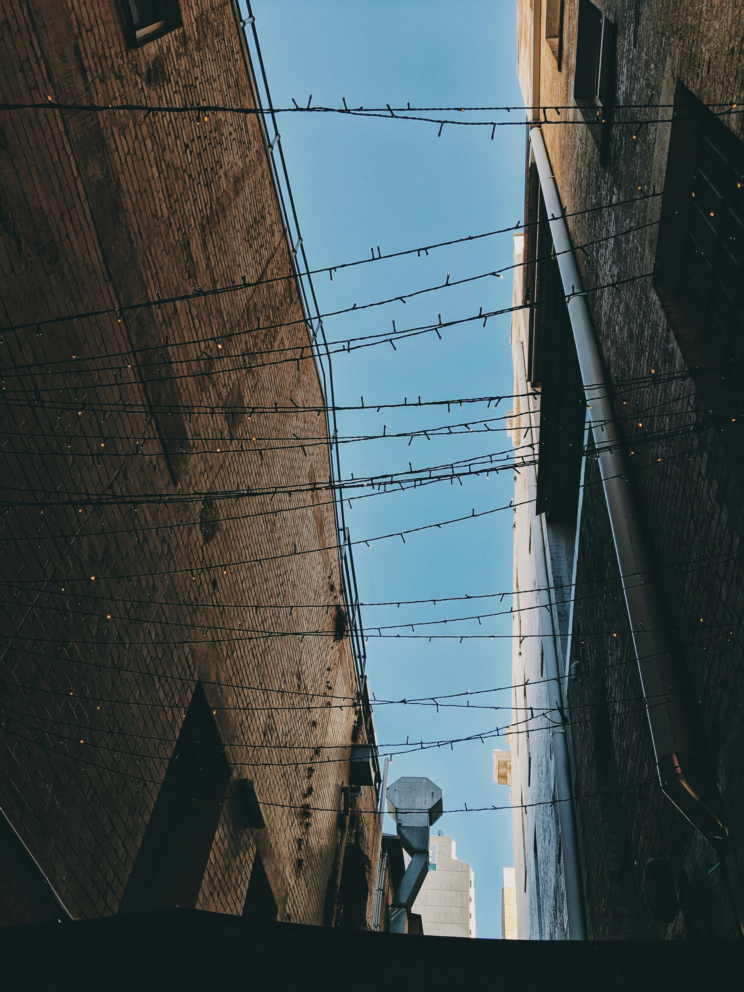 晴朗的天空下，布里斯班城市小巷的低视角装饰着弦灯