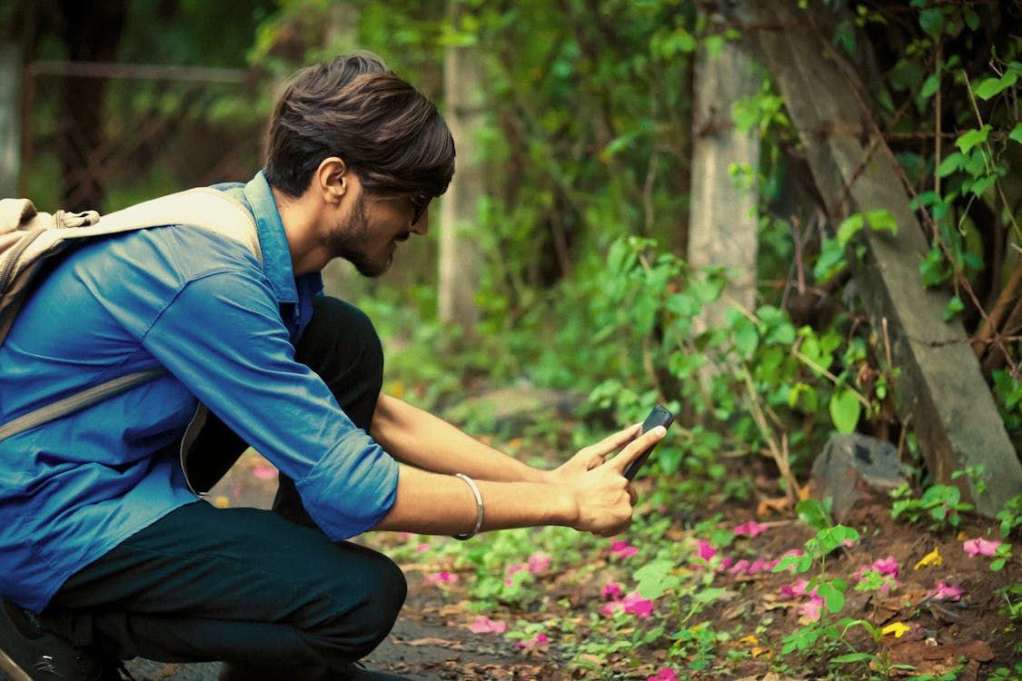 Gratuit Homme Prenant Des Photos De Plantes à Fleurs Roses à L'aide De Smartphone Photos