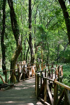 Image by Kozmik Ayna