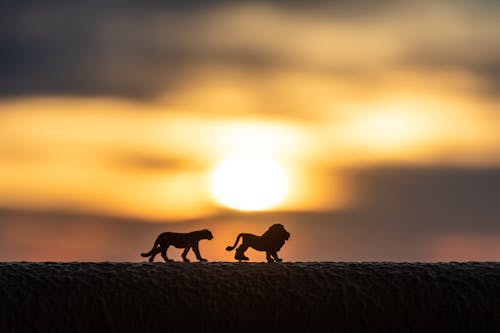 Foto De Close Up De Brinquedos Em Miniatura