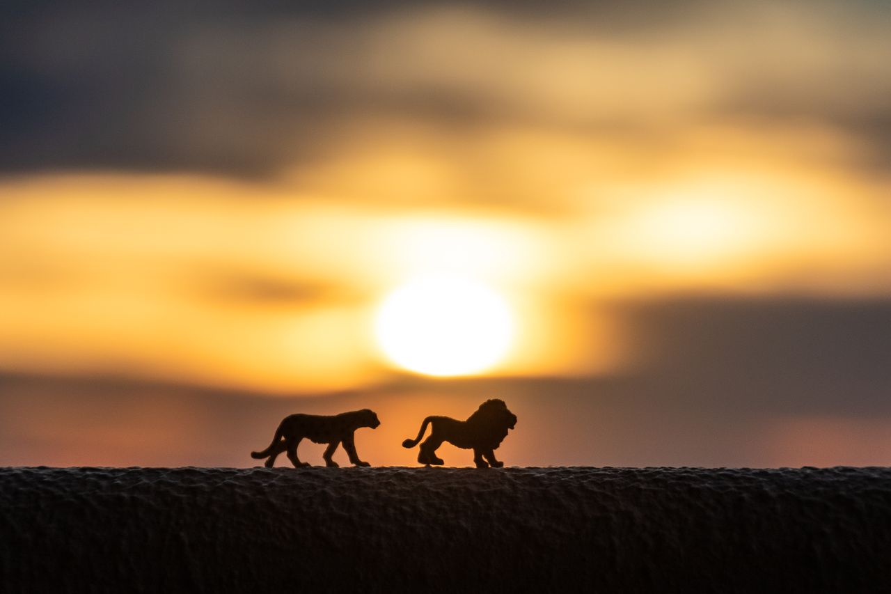 silhouette of toy lions against a vibrant sunset creating a tranquil s