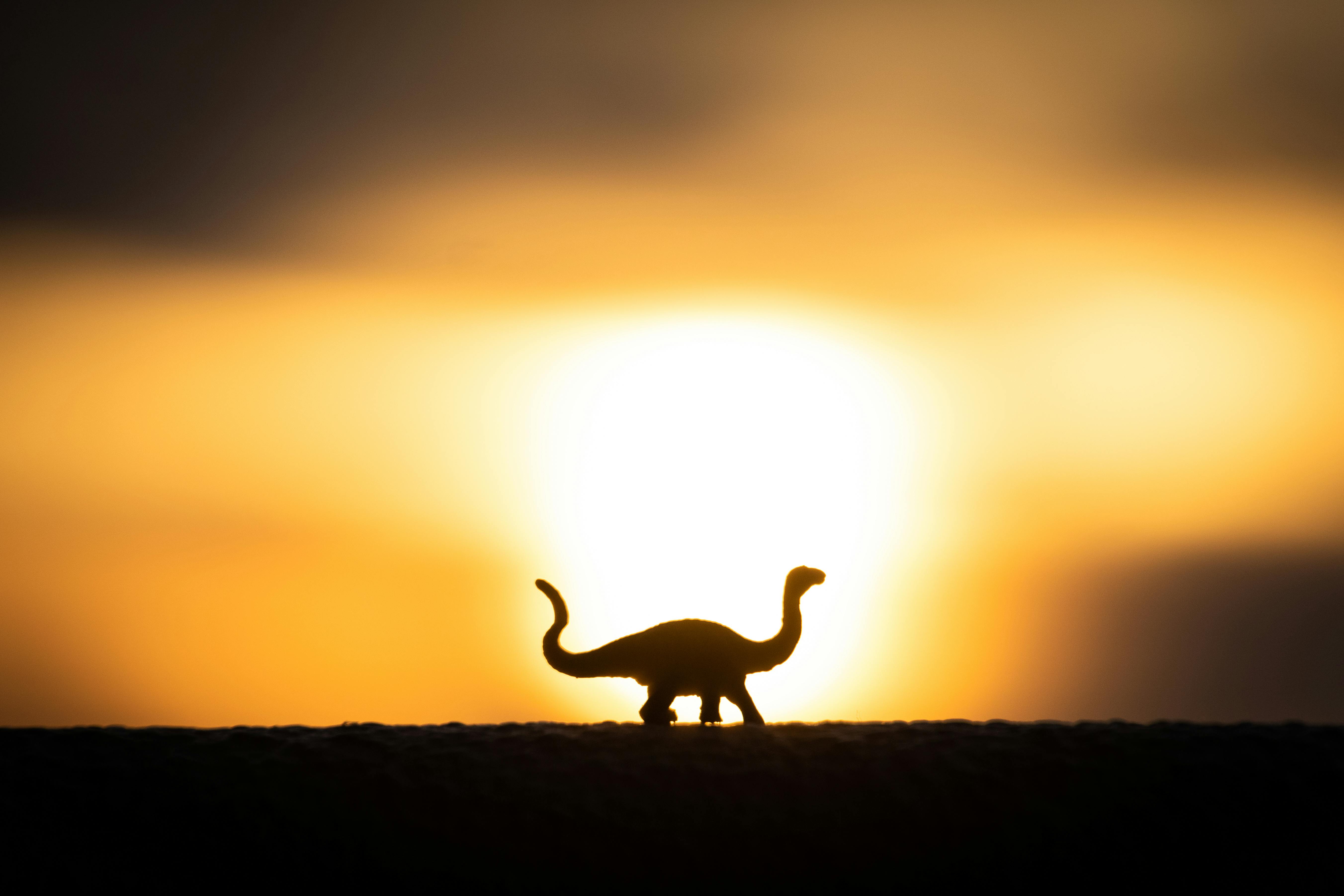 温暖的日落天空为玩具恐龙的轮廓镀上金色，营造出宁静祥和的景象