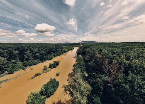 Foto profissional grátis de agricultura, água, ao ar livre