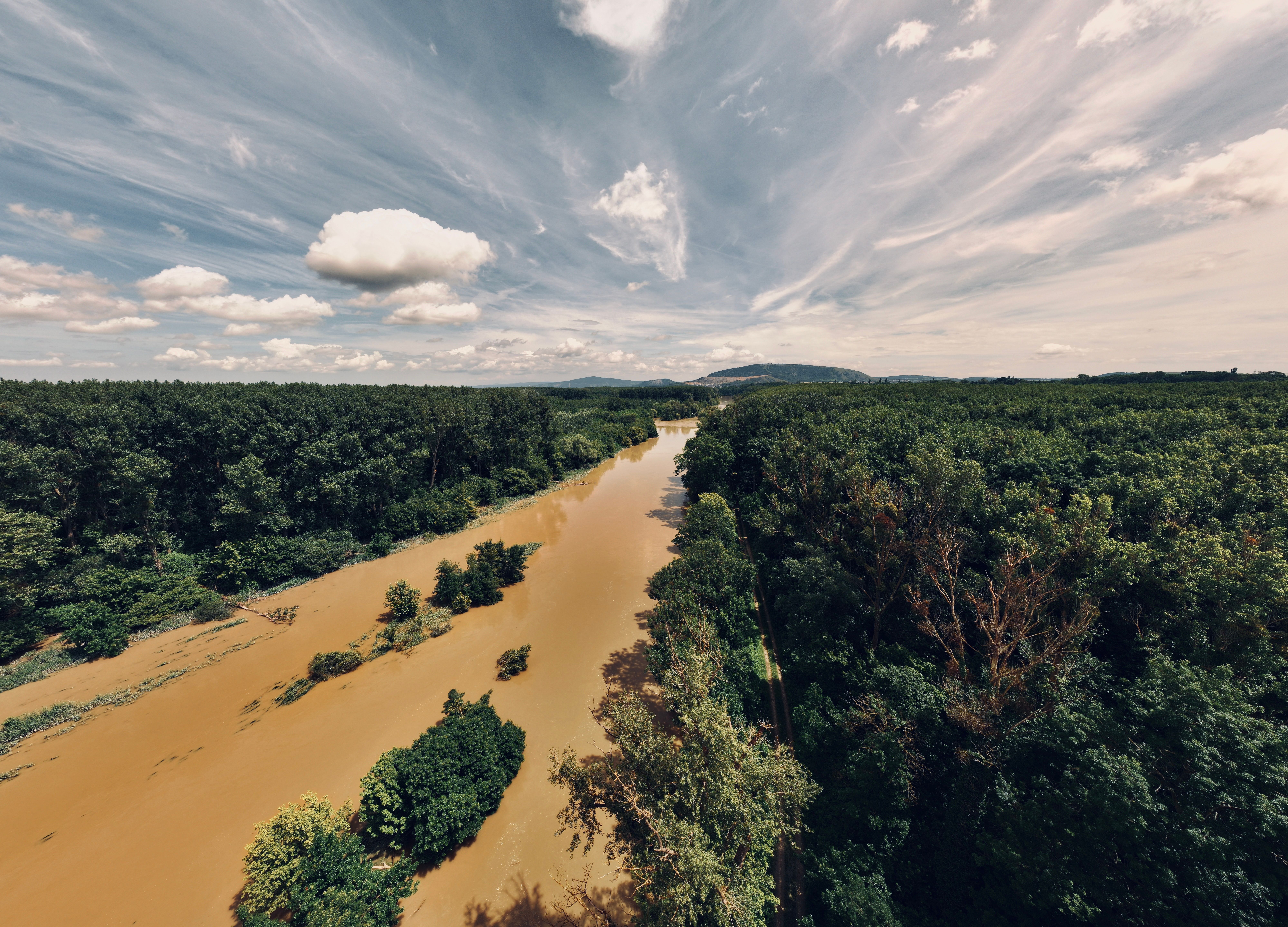 Forest and River in Countryside · Free Stock Photo