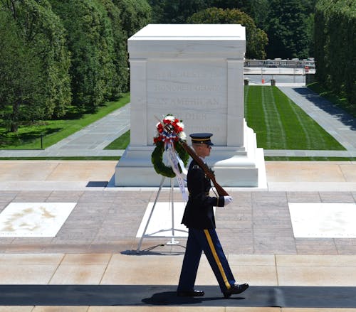 Free stock photo of cemetery, military, national cemetery